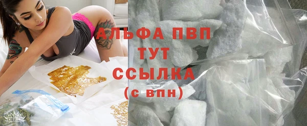 крисы Баксан