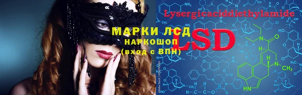 крисы Баксан