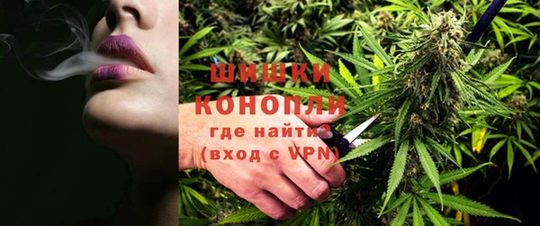 крисы Баксан