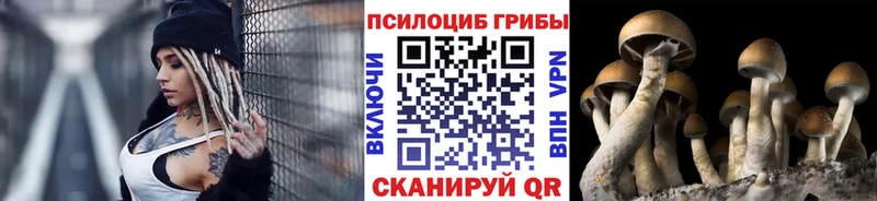 дарнет шоп  Свободный  KRAKEN зеркало  Псилоцибиновые грибы MAGIC MUSHROOMS 
